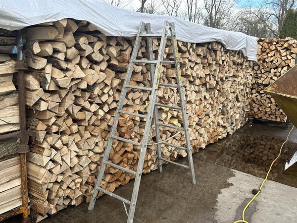 Brennholz Esche, Buche ofenfertig
